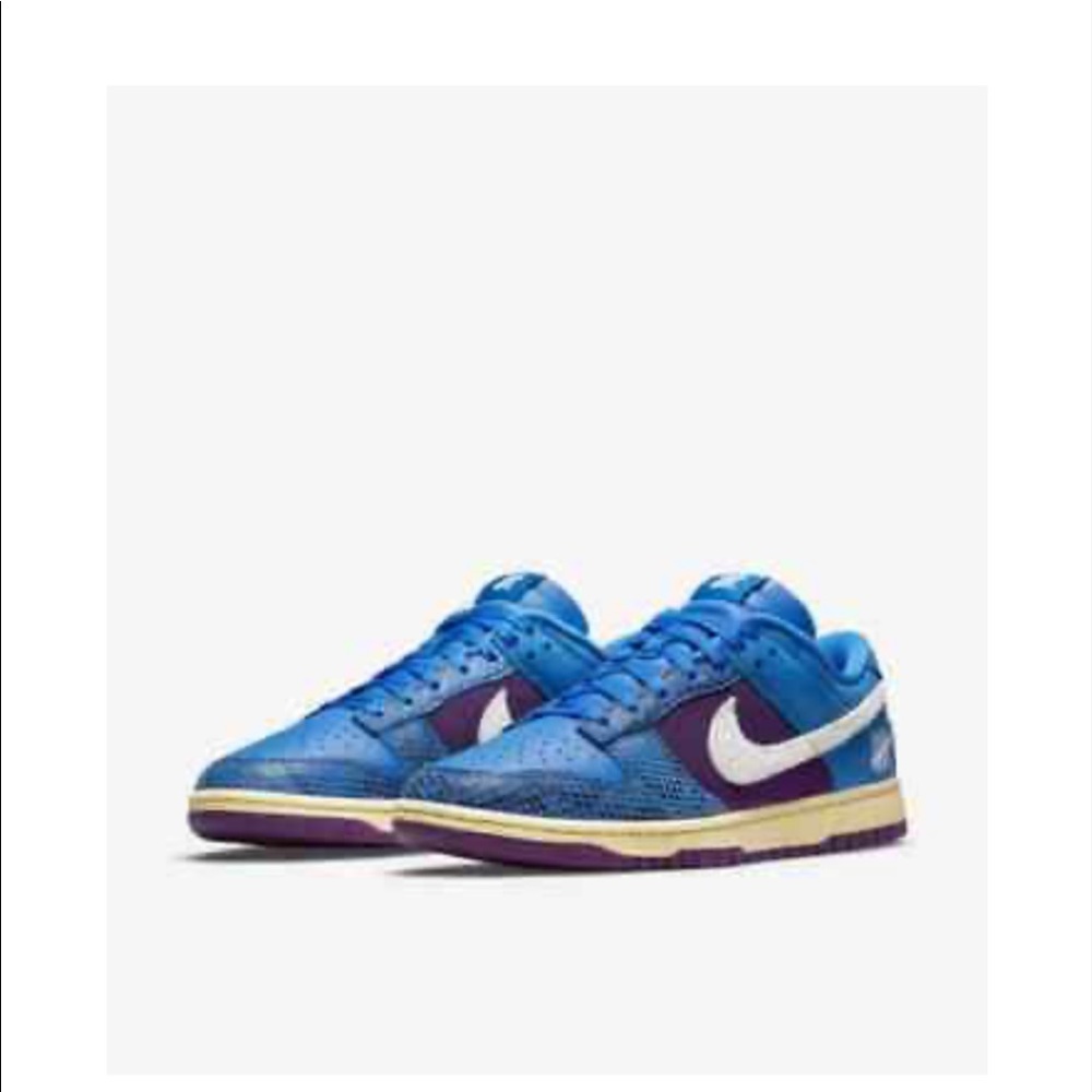 Nike dunk